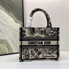 Christian Dior Shopping Bags